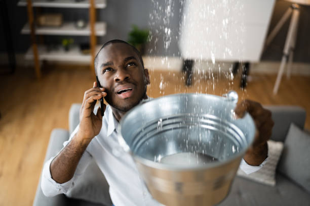 Best Professional water damage repair  in Forest Glen, MD
