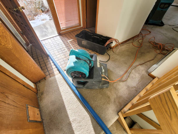 Best Sewage cleanup and water damage restoration  in Forest Glen, MD