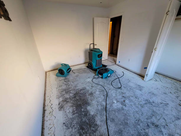 Best Commercial water damage restoration  in Forest Glen, MD