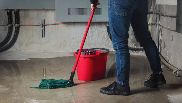 Best Water damage cleanup near me  in Forest Glen, MD