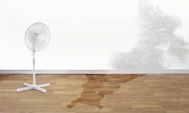 Best 24/7 water damage repair  in Forest Glen, MD