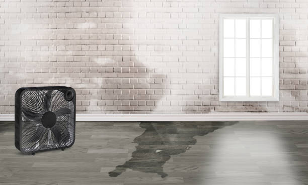 Trusted MD Water damage restoration Experts