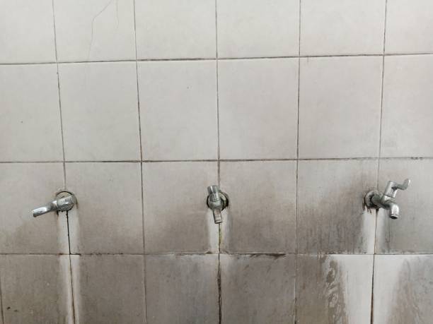 Best Local water damage restoration  in Forest Glen, MD