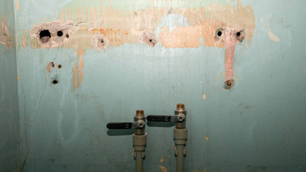  Forest Glen, MD Water damage restoration Pros