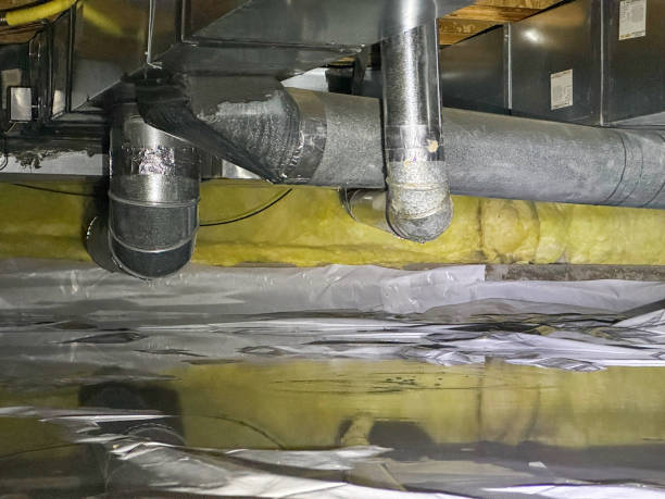 Best Fire Damage Restoration  in Forest Glen, MD