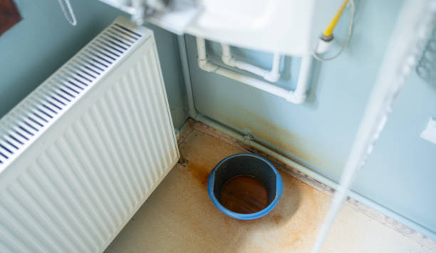 Best Water damage restoration near me  in Forest Glen, MD