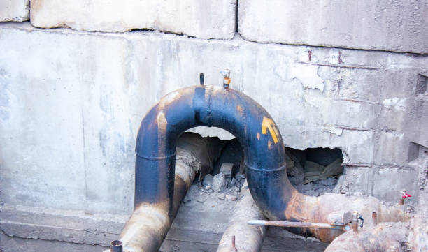 Best 24/7 water damage repair  in Forest Glen, MD