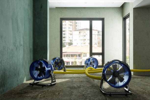 Best Commercial water damage restoration  in Forest Glen, MD