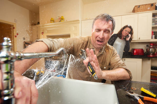 Best Flooded house restoration  in Forest Glen, MD